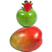 Mappleberry 0,4l